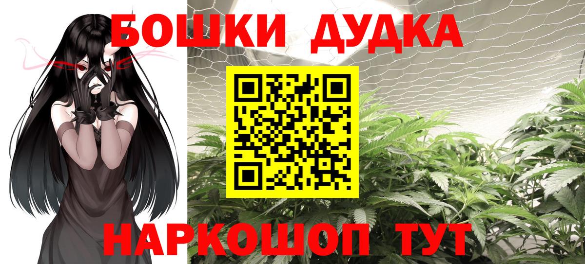 Валуйки  Конопля SATIVA & INDICA  Каннабис AK-47  Конопля семена  Вход с VPN 